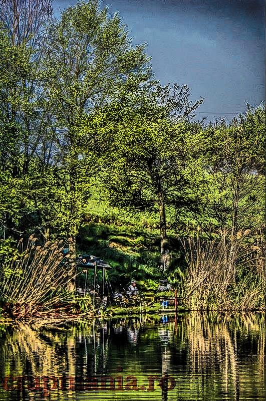 Trofeul Tancabesti (2) - 2013 - 1010427hdrmode2.jpg